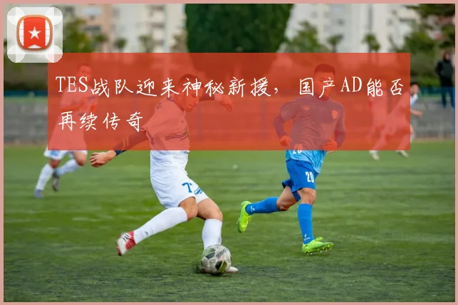 TES战队迎来神秘新援，国产AD能否再续传奇